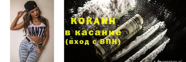 прущий лед Алзамай