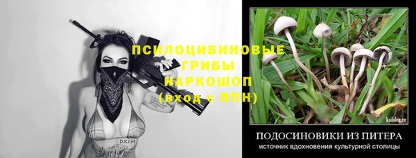 прущий лед Алзамай