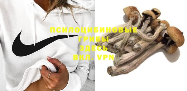 прущий лед Алзамай