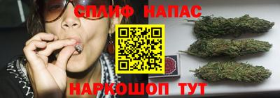 амф Краснодар