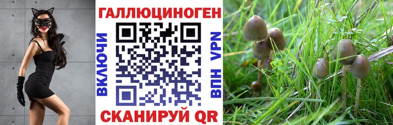 цена   Конаково  Галлюциногенные грибы прущие грибы 