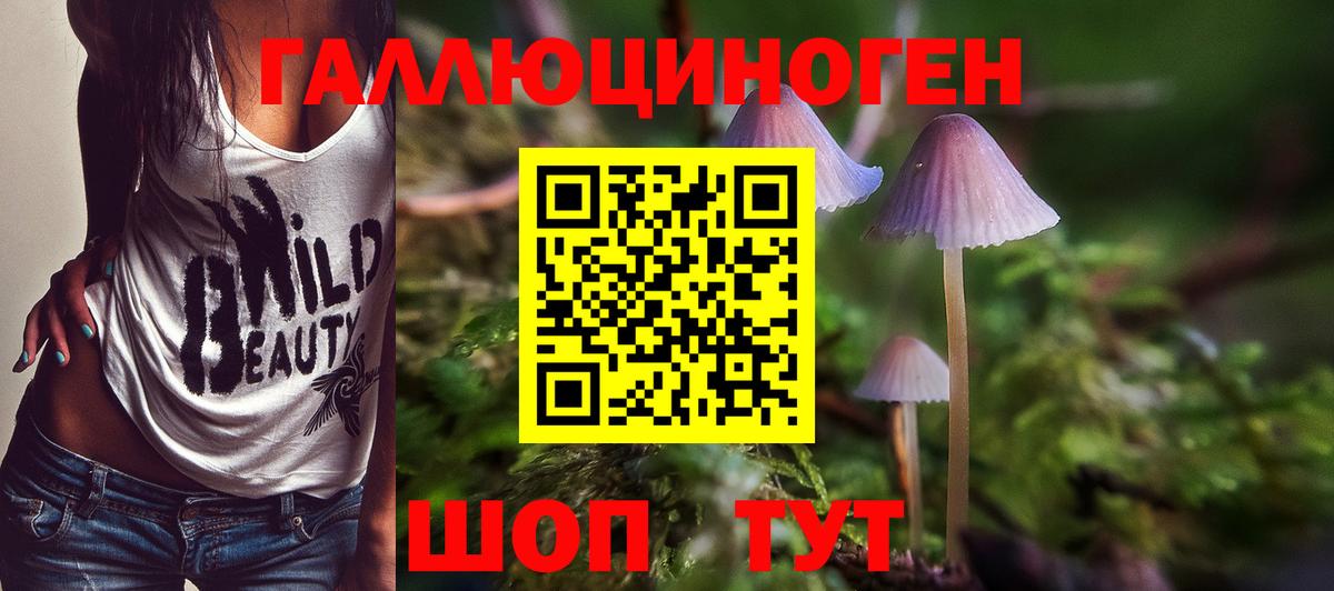 Галлюциногенные грибы прущие грибы  Галлюциногенные грибы мухоморы  Конаково  купить наркотики сайты  Вход с VPN 